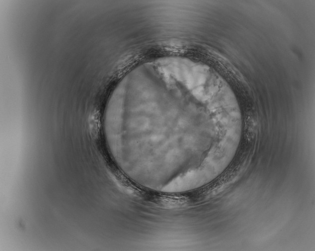 X0000111510707200908041223