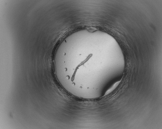 X0000111510708200908041223