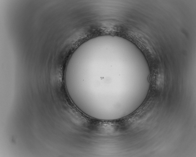 X0000111510710200908041223