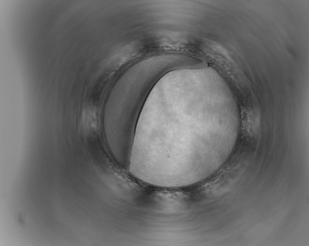 X0000111510712200908041222