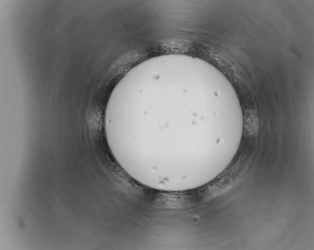 X0000111510713200908041222