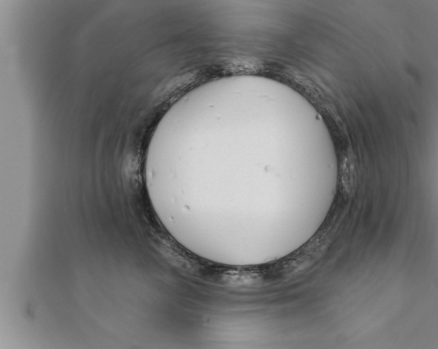 X0000111510714200908041222