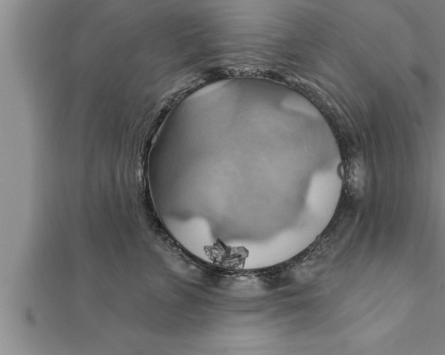 X0000111510715200908041222