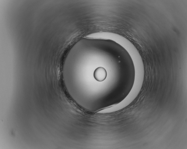 X0000111510716200908041222