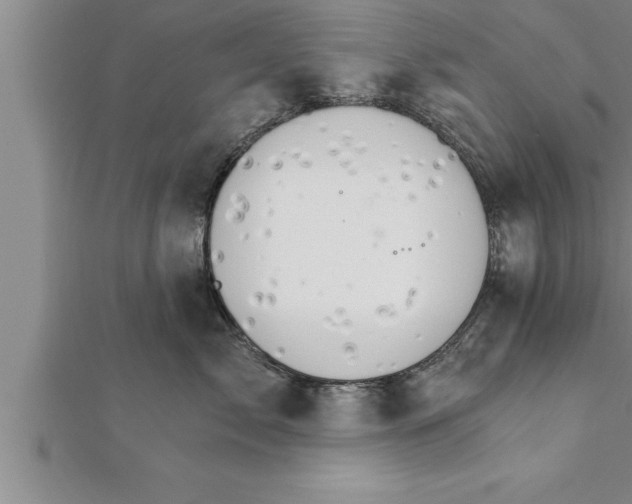 X0000111510717200908041222