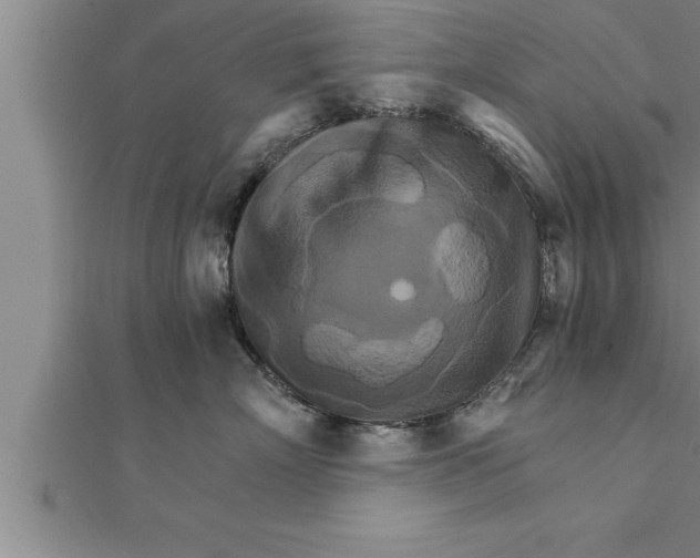 X0000111510718200908041222