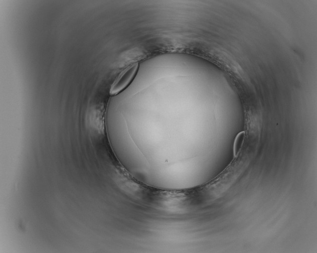 X0000111510719200908041222