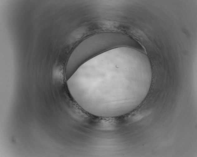 X0000111510720200908041222