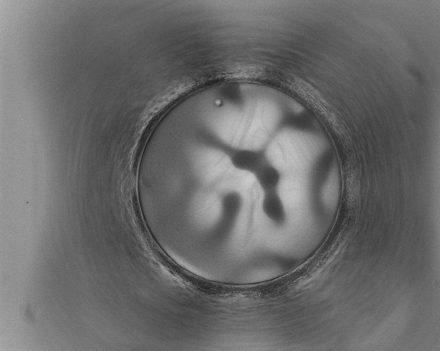 X0000111510721200908041222