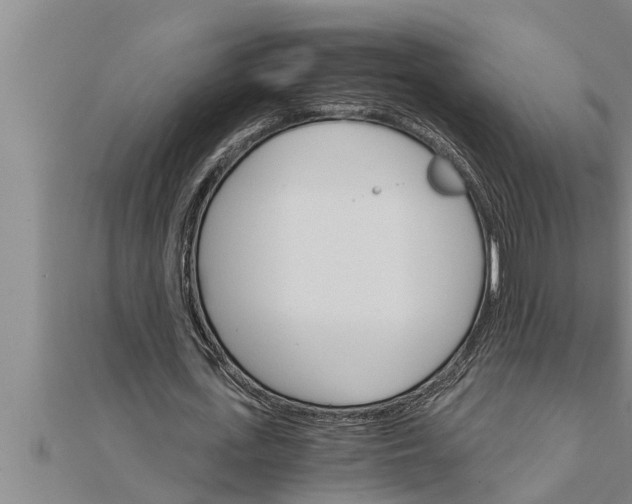 X0000111510723200908041222