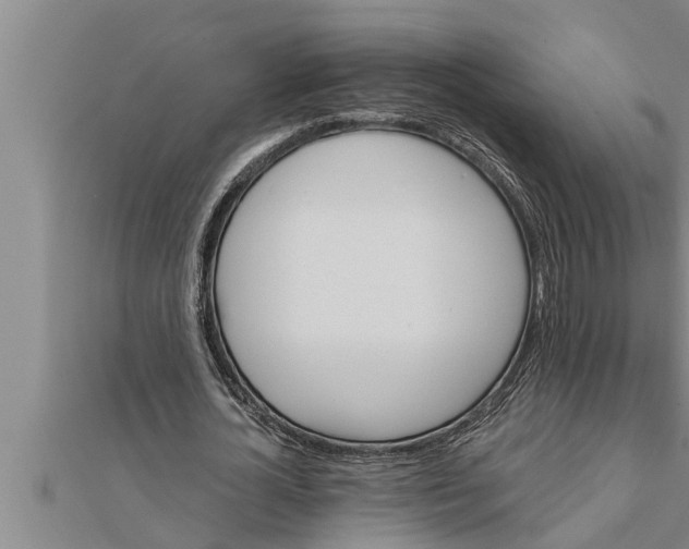 X0000111510724200908041222