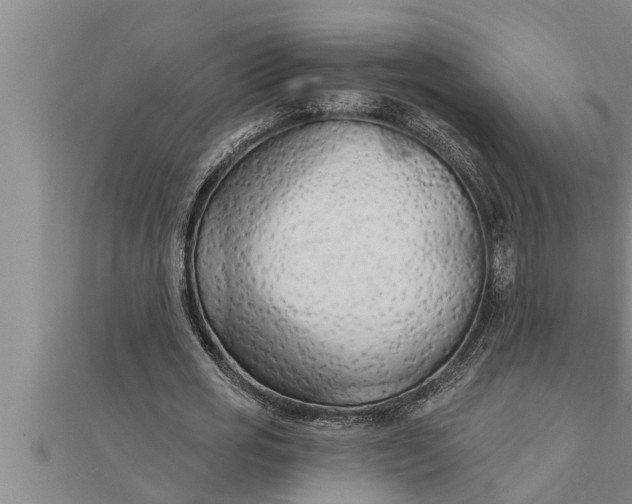 X0000111510725200908041222