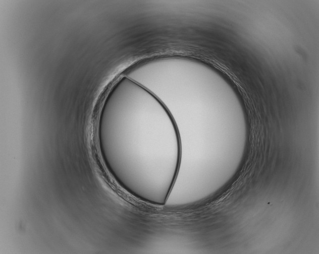 X0000111510726200908041222