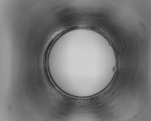 X0000111510727200908041222