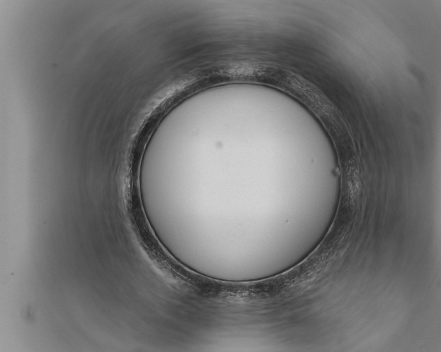 X0000111510728200908041222