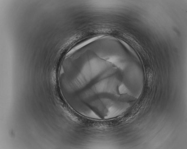 X0000111510729200908041222