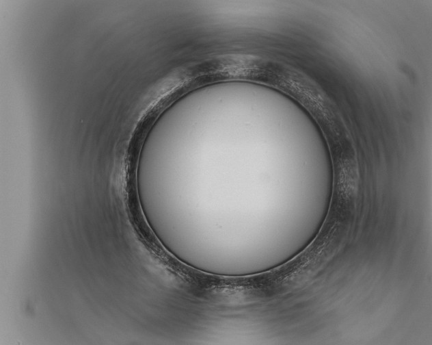 X0000111510730200908041222