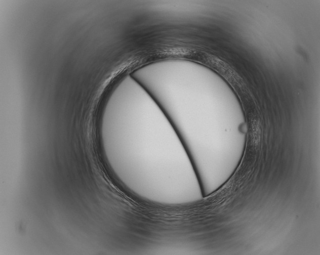 X0000111510731200908041222