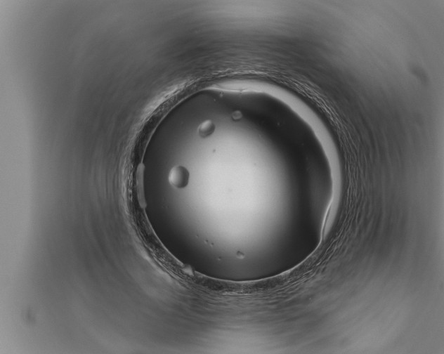 X0000111510732200908041222