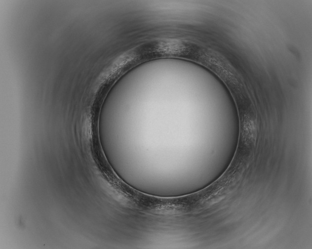 X0000111510734200908041222