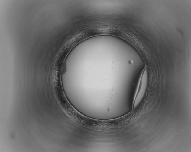 X0000111510736200908041222