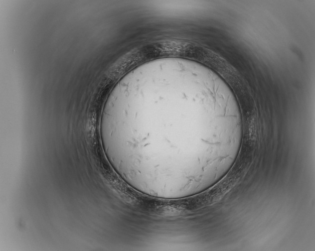 X0000111510737200908041222