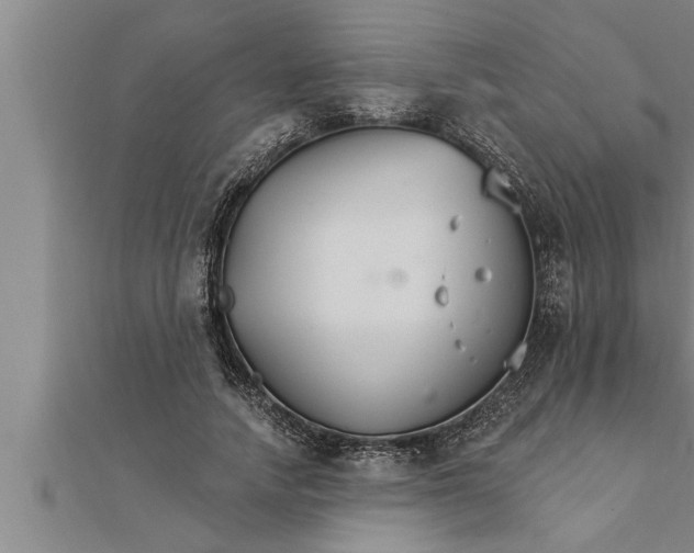 X0000111510738200908041222