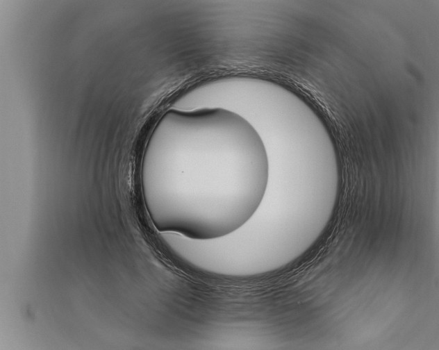 X0000111510740200908041222