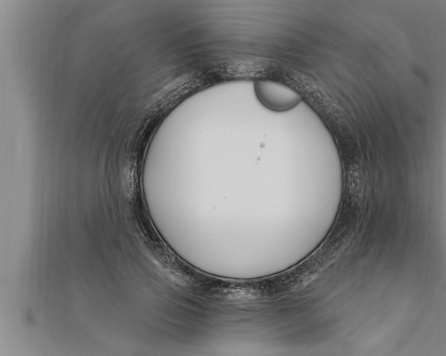 X0000111510741200908041222