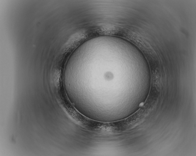 X0000111510742200908041222