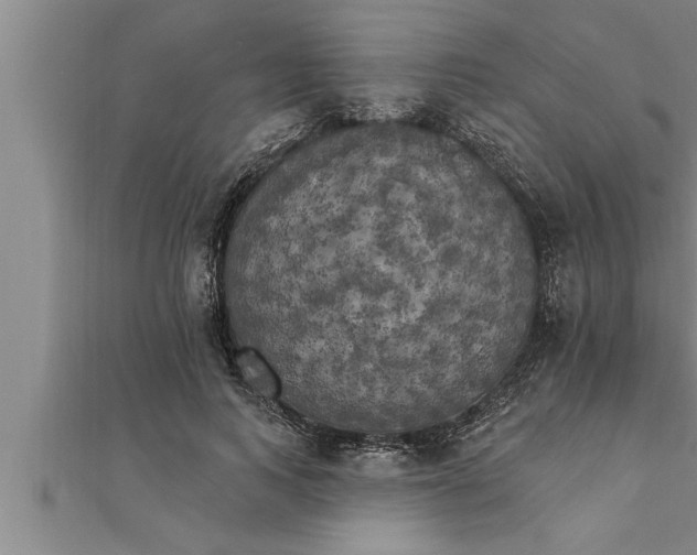 X0000111510743200908041222