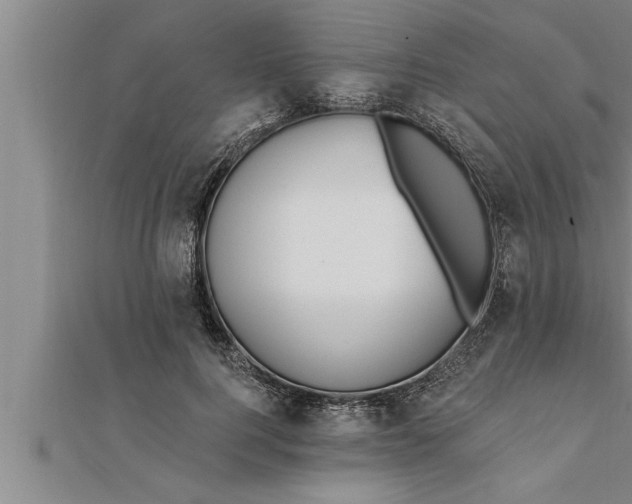 X0000111510744200908041222