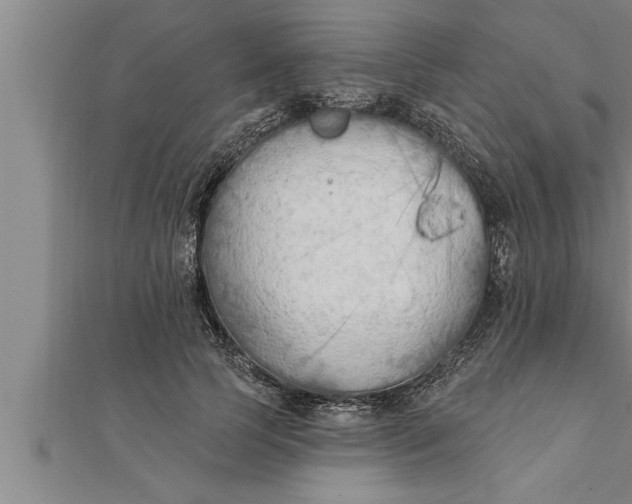 X0000111510745200908041222