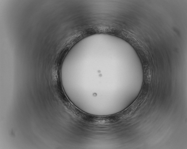 X0000111510746200908041222