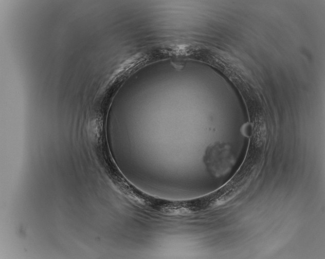 X0000111510747200908041222