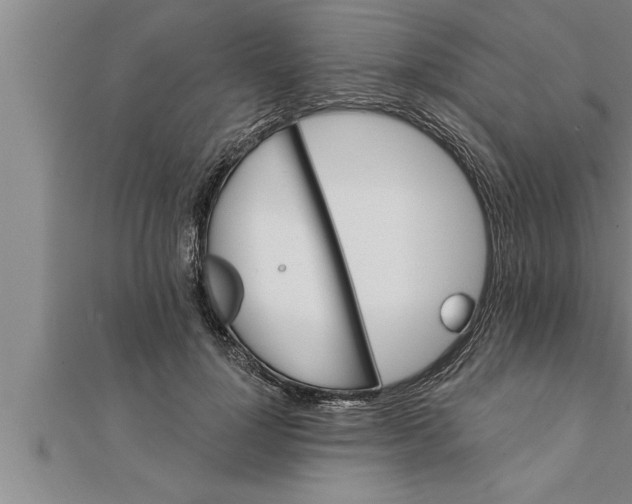 X0000111510748200908041222