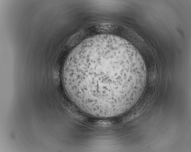 X0000111510749200908041222