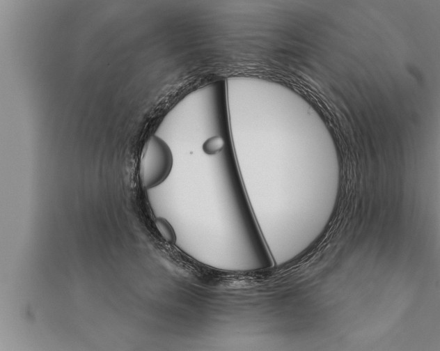 X0000111510750200908041222