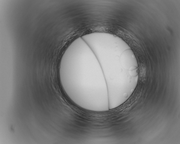 X0000111510751200908041222