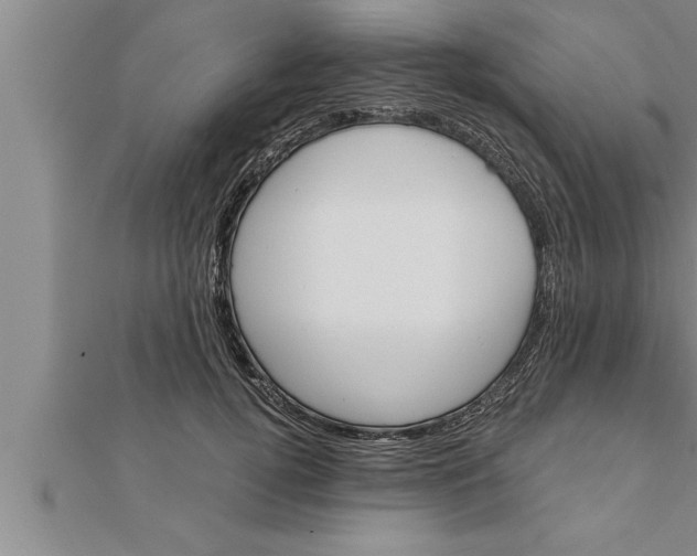 X0000111510752200908041222