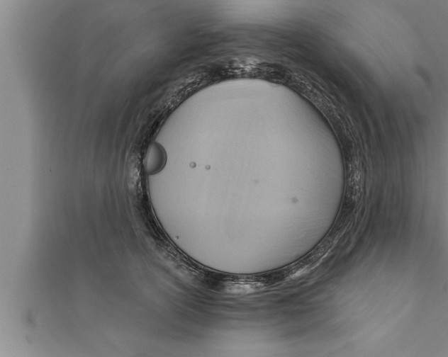 X0000111510754200908041222