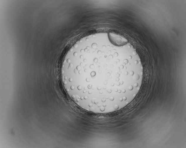 X0000111510755200908041222