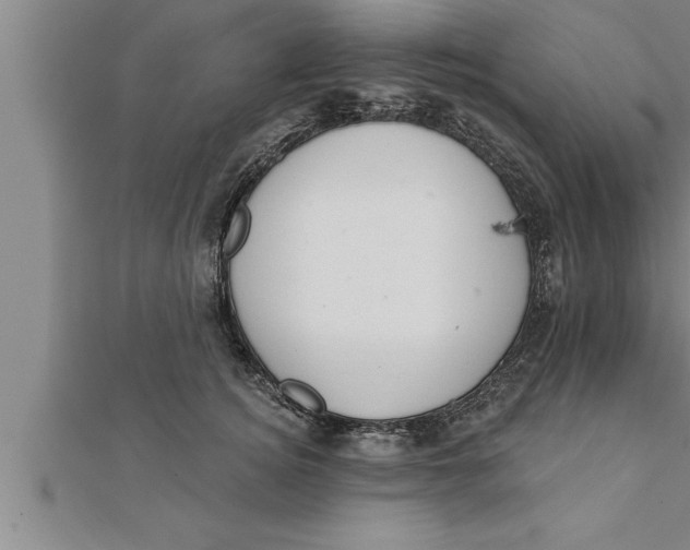 X0000111510756200908041222