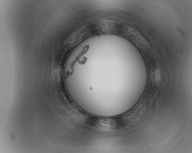 X0000111510757200908041222