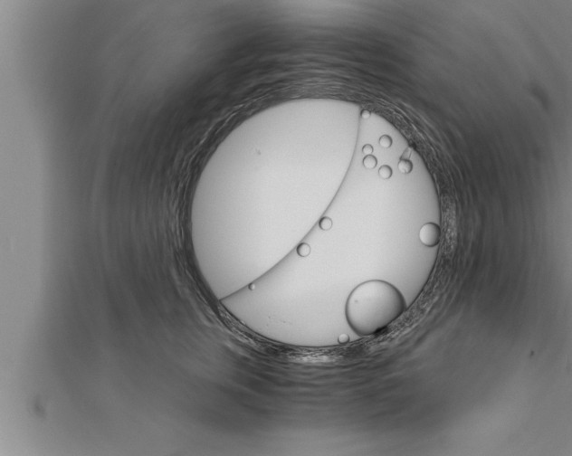 X0000111510759200908041222