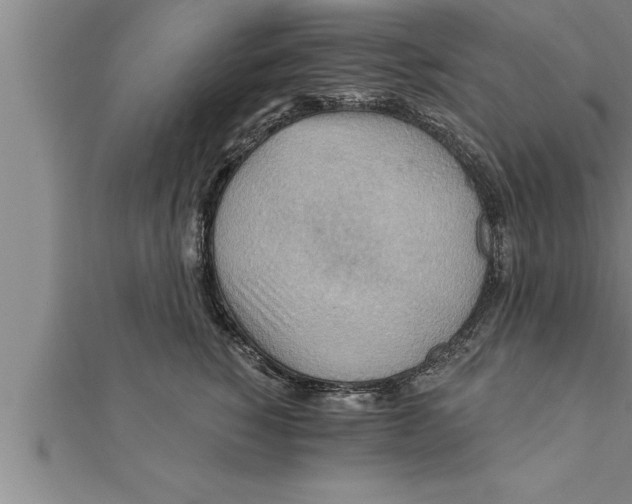 X0000111510760200908041222