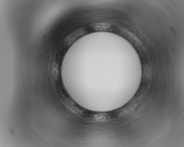 X0000111510761200908041222