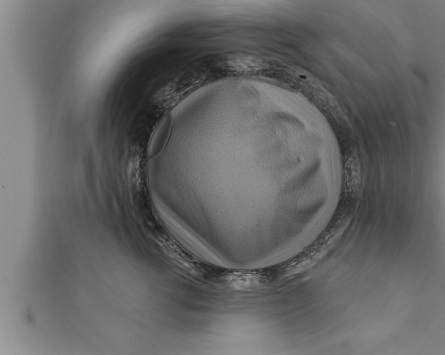 X0000111510762200908041222