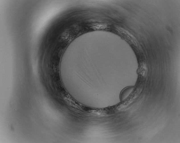 X0000111510763200908041222