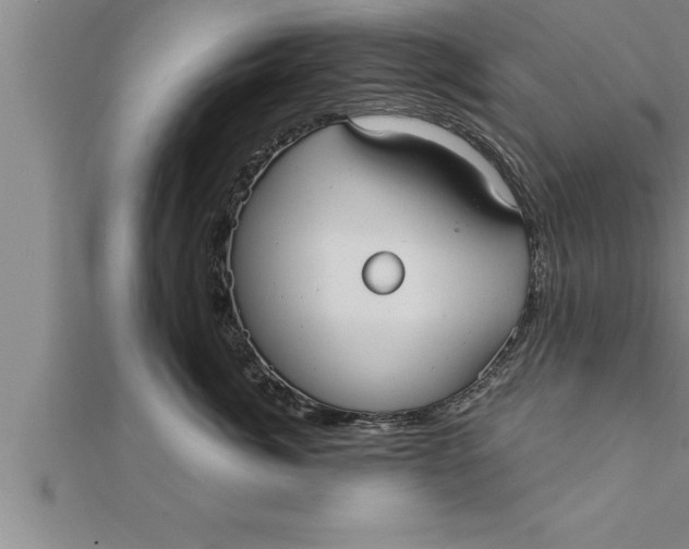 X0000111510764200908041222